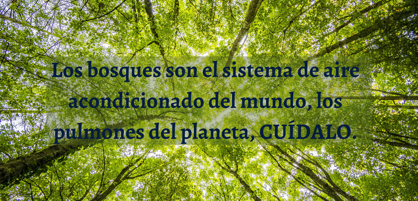 Salud en la Naturaleza